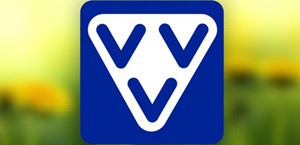 blokken VVV Sneek (DE) image
